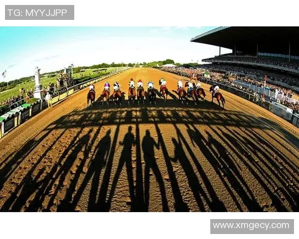深圳极限运动队荣登全国极限运动战术排行榜第九名的背后故事