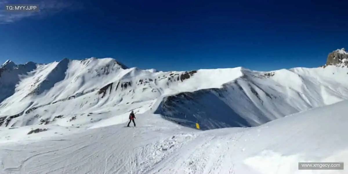 一键订阅，精彩不断！🔔🏐